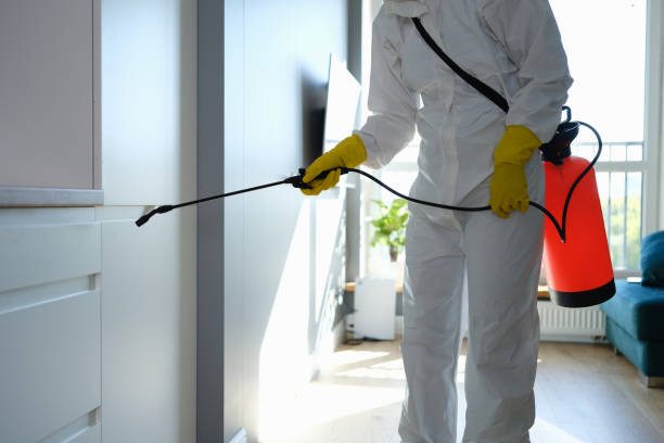 Mold Testing and Removal in Pender, NE